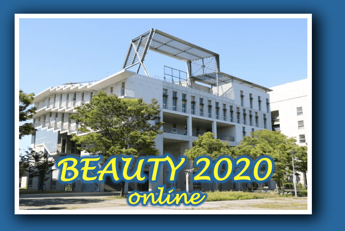 19th International Conference on B-Physics at Frontier Machines, Beauty 2020