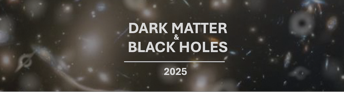 Dark matter and black holes