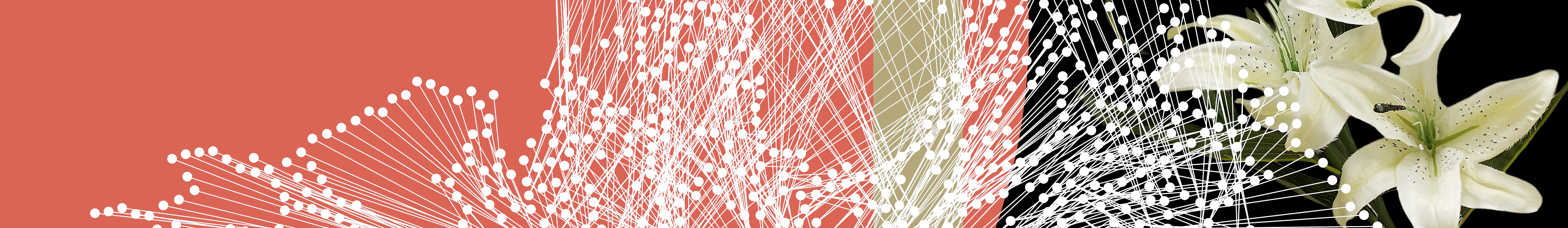 AOWM × IPMU Workshop