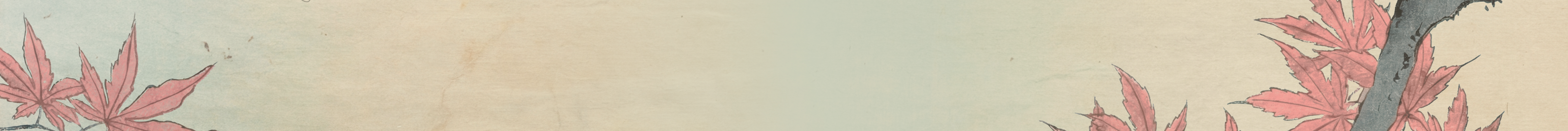 Derived Categories in Geometry and Representation Theory — in honor of Professor Alexey Bondal's 65th birthday